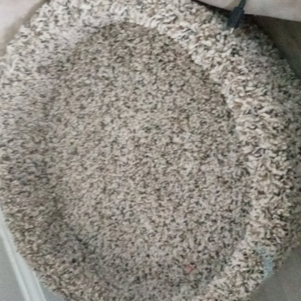 cat bed